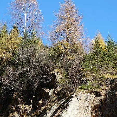 Haus Bergwelt Appartement Sankt Leonhard im Pitztal